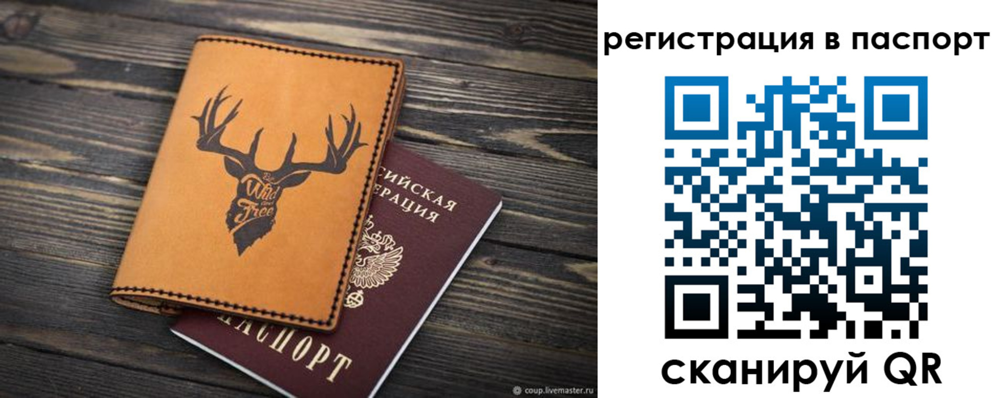 прописка паспорт в Краснодарском крае